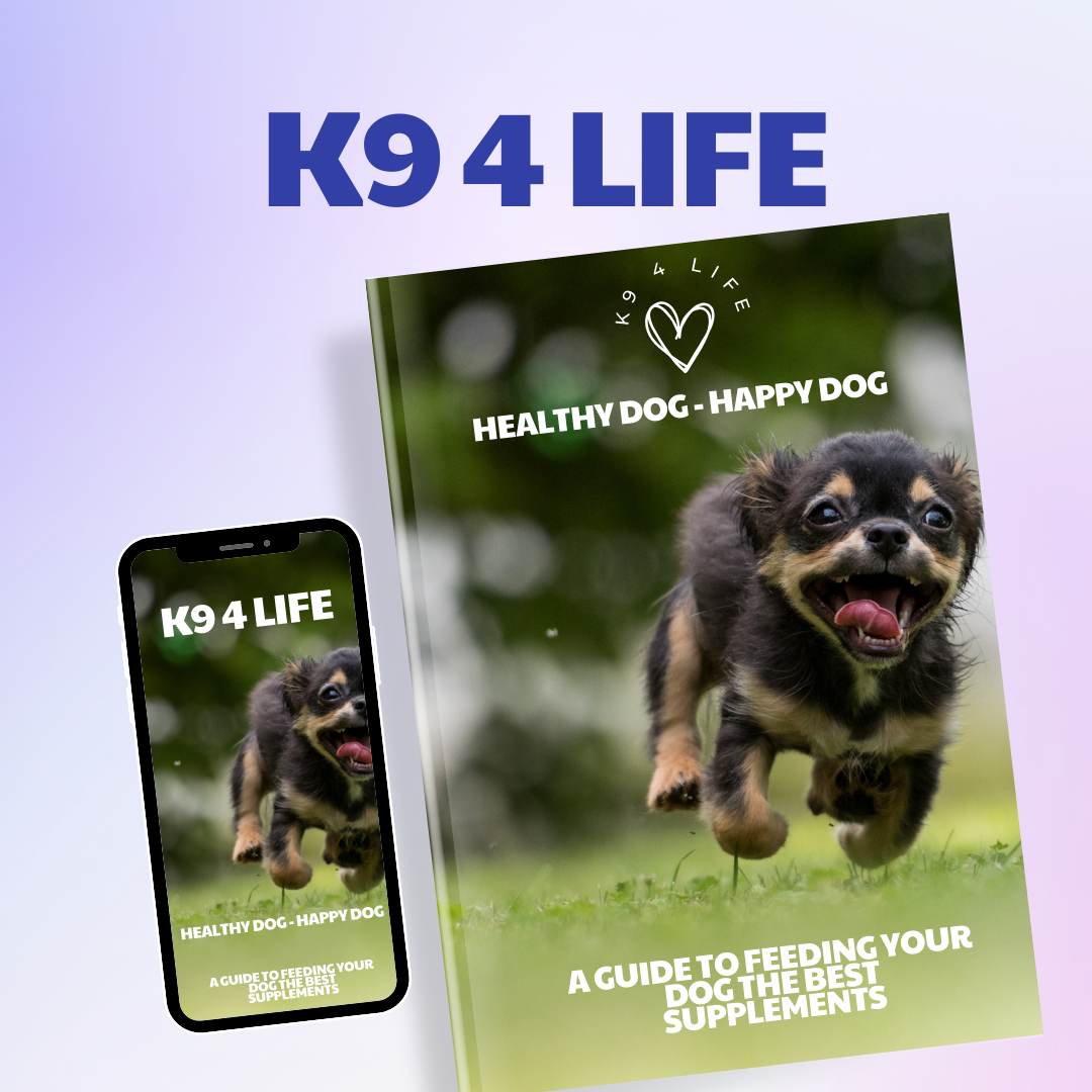 Power Plus Joint Care Advanced -Large Dogs - for Stiff Joints and Movement with Glucosamine, Chondroitin, MSM, Turmeric and Green Lipped Mussel - 30 Days Supply