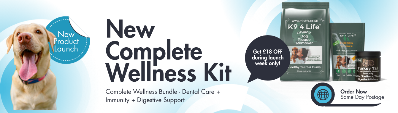 Complete Wellness Bundle - Dental Care + Immunity + Digestive Support
