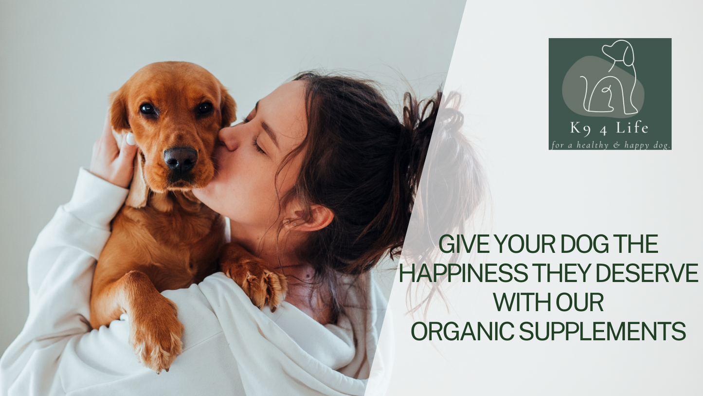 Dog Hemp Chews Calming Treats for Dogs Anxiety Stress Training Treats - Chicken - 320g