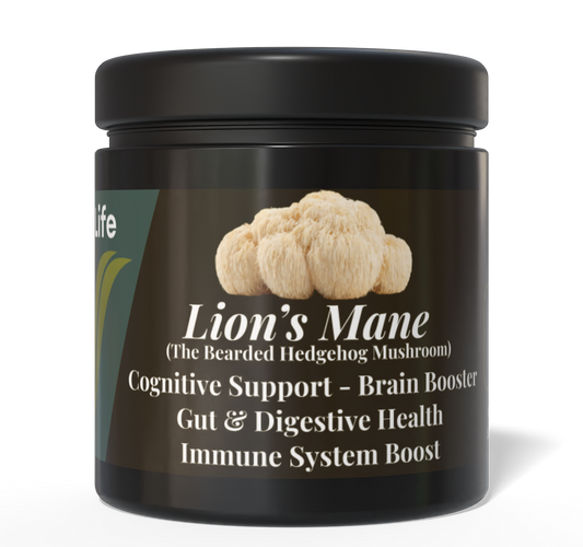 Lion's Mane Mushroom for Dogs: Brain Health, Digestion & Immunity Benefits