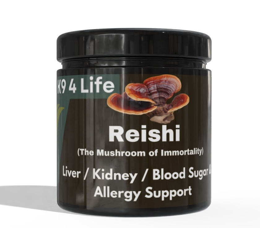 Reishi Mushroom for Dogs: Immune Support, Calm & Longevity Benefits