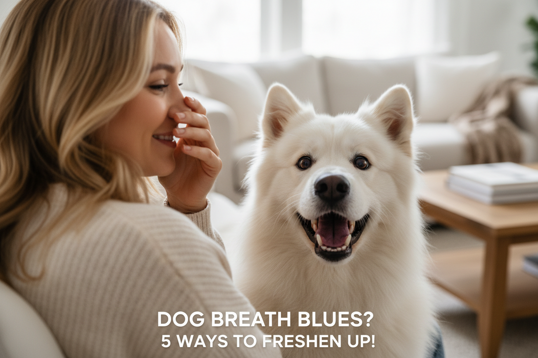 Dog Bad Breath Causes and Fixes - K9 4 Life