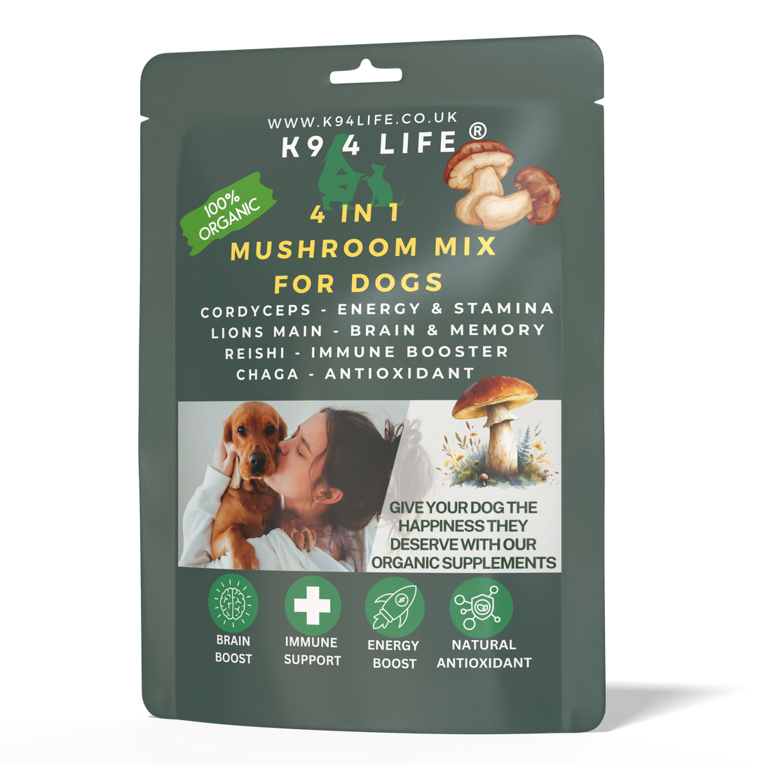 4-in-1 Mushroom Mix for Dogs: Complete Mind, Body & Energy Support