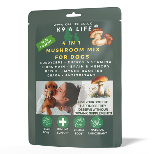 4-in-1 Mushroom Mix for Dogs: Complete Mind, Body & Energy Support