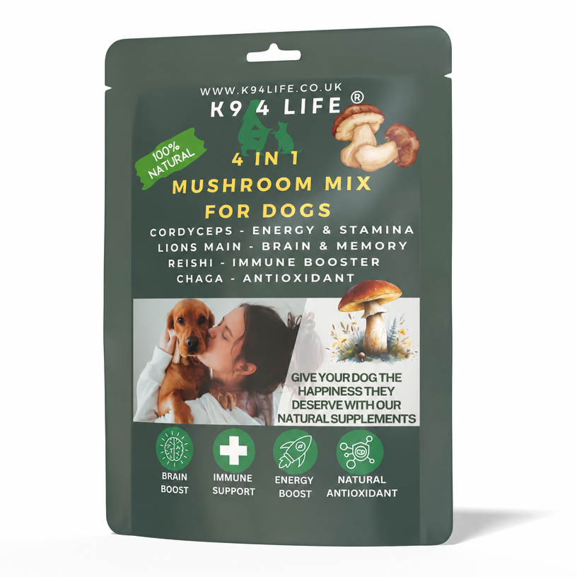 Complete Wellness Bundle - Dental Care + Immunity + Digestive Support