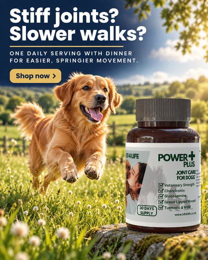 Power Plus Joint Care Advanced -Large Dogs - for Stiff Joints and Movement with Glucosamine, Chondroitin, MSM, Turmeric and Green Lipped Mussel - 30 Days Supply