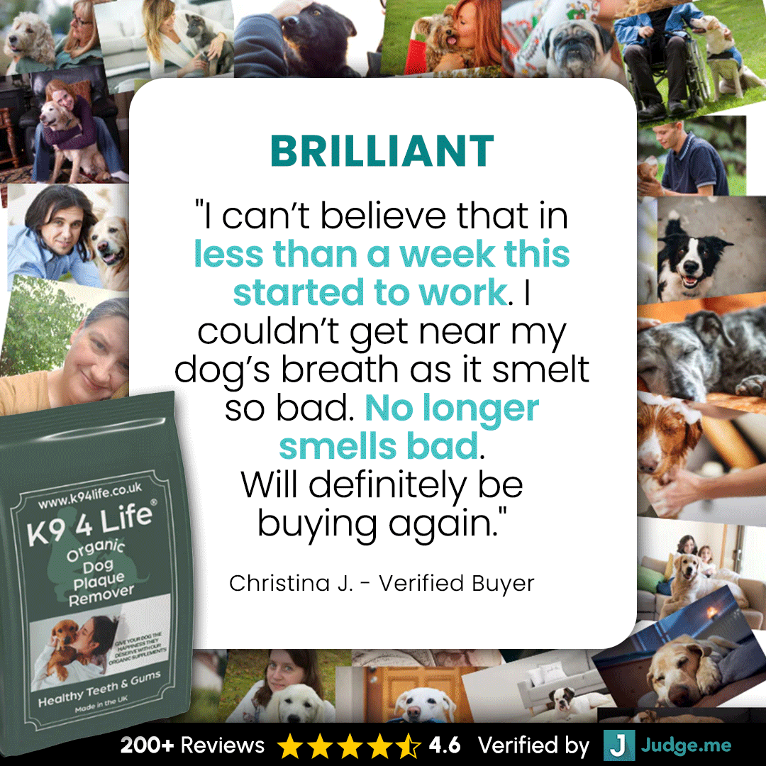 Dog Plaque & Tartar Remover Dental Care - Organic -500g