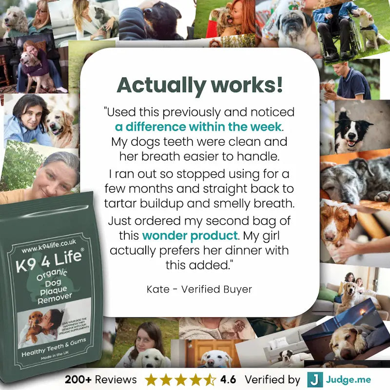 Plaque and Tartar Remover for Dogs
