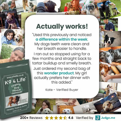 Plaque and Tartar Remover for Dogs