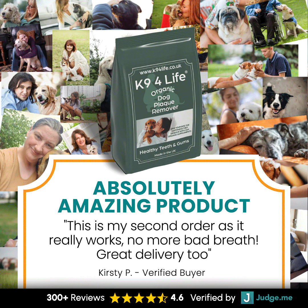 Dog Plaque & Tartar Remover Dental Care - Organic -500g