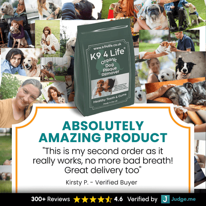 Dog Plaque & Tartar Remover Dental Care - Organic -500g
