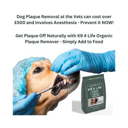 Dog Dental Care For Healthy Teeth And Gums For Your Dog - Plaque Off & Tartar Remover - 180g - Our Number 1 Best Seller