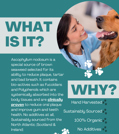 Dog Plaque & Tartar Remover Dental Care - Organic