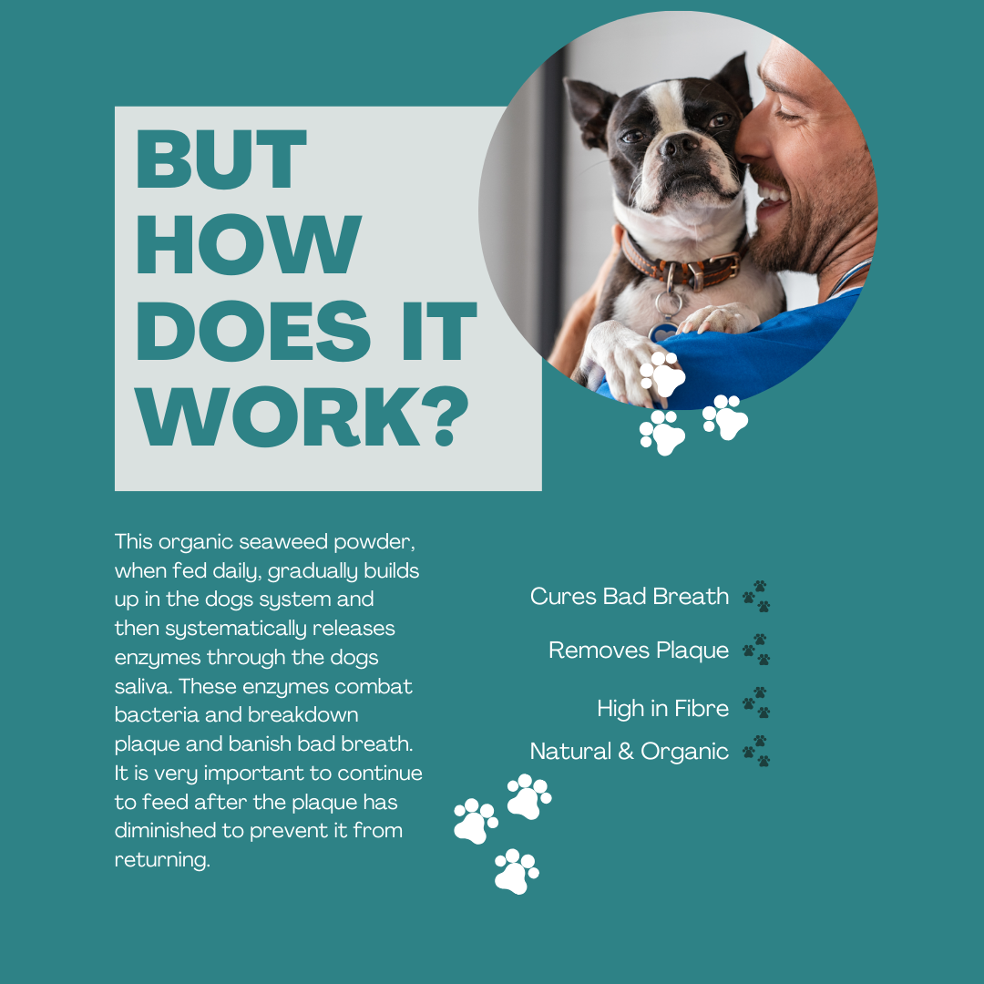 Dog Plaque & Tartar Remover Dental Care - Organic
