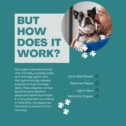 Plaque and Tartar Remover for Dogs