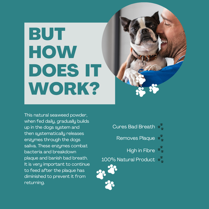 Dog Plaque & Tartar Remover Dental Care - Natural