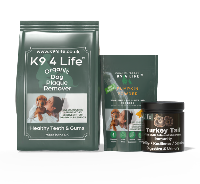 Complete Wellness Bundle - Dental Care + Immunity + Digestive Support