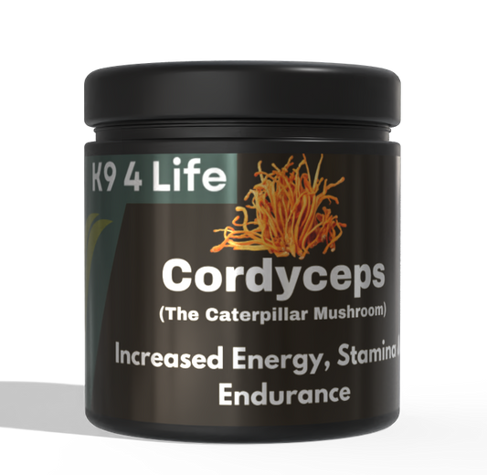K9 4 Life Cordyceps Mushroom Powder For Dogs - Energy Stamina & Endurance