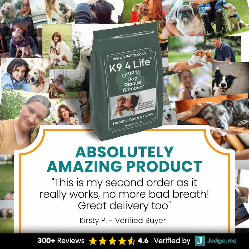K9 4 Life dog dental powder with customer review and 4.6-star rating