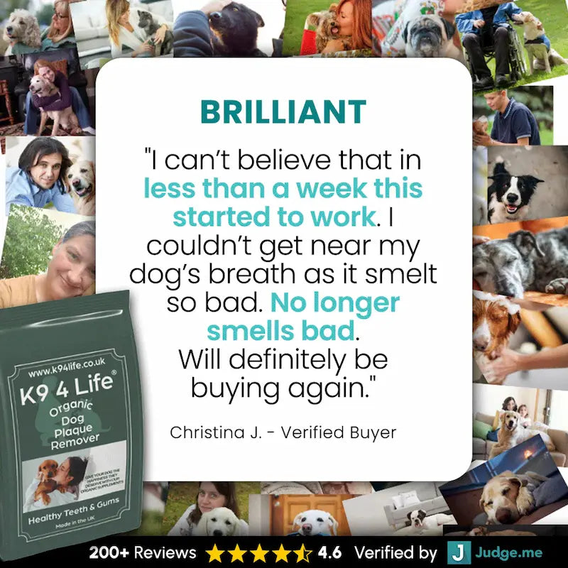 K9 4 Life dog plaque remover beside a customer review about fresher breath
