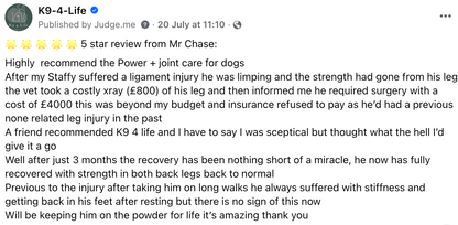 Power Plus Joint Care Supplement for Extra Large Dogs. Eases Stiff Joints and Movement with Glucosamine, Chondroitin, MSM, Turmeric and Green Lipped Mussel.