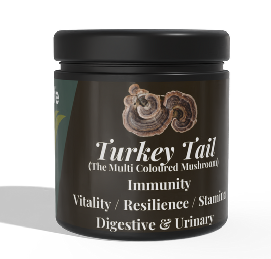 K9 4 Life Turkey Tail Mushroom Powder For Dogs - Vitality - Immunity - Gut - Urinary Healty