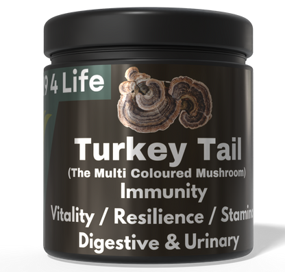 K9 4 Life Turkey Tail Mushroom Powder For Dogs - Vitality - Immunity - Gut - Urinary Health