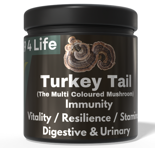 K9 4 Life Turkey Tail Mushroom Powder For Dogs - Vitality - Immunity - Gut - Urinary Health