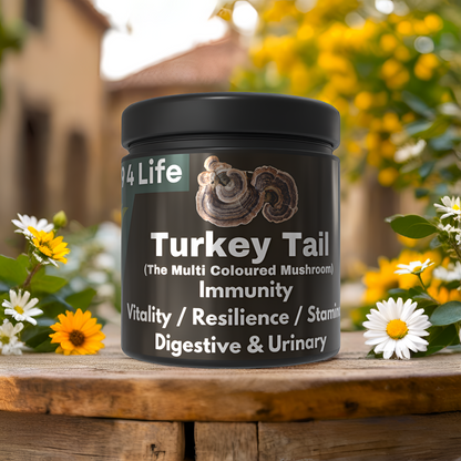 K9 4 Life Turkey Tail Mushroom Powder For Dogs - Vitality - Immunity - Gut - Urinary Health