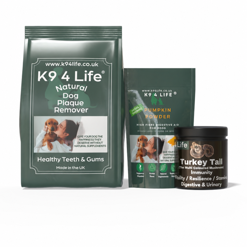 Complete Wellness Bundle - Dental Care + Immunity + Digestive Support