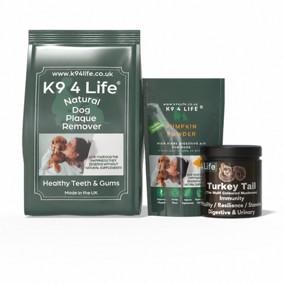 Complete Wellness Bundle - Dental Care + Immunity + Digestive Support
