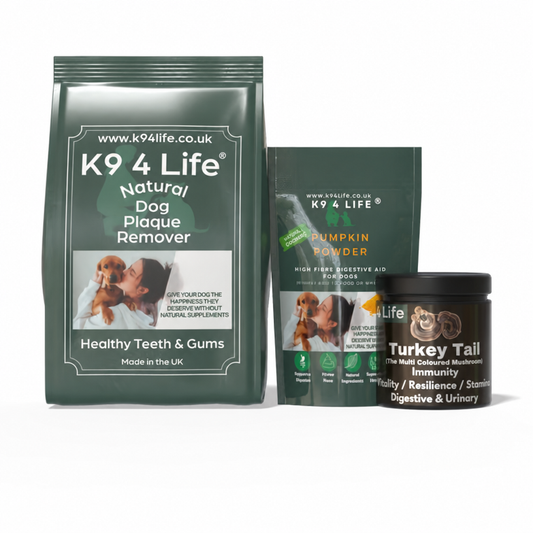 Complete Wellness Bundle - Dental Care + Immunity + Digestive Support
