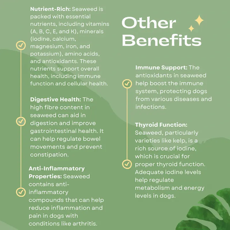 K9 4 Life dog dental powder benefits graphic showing immune, digestive and anti-inflammatory support