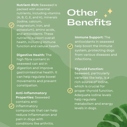 K9 4 Life dog dental powder benefits graphic showing immune, digestive and anti-inflammatory support