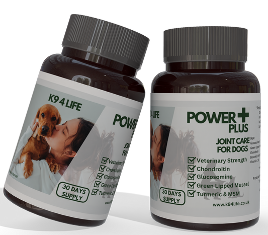 Power Plus Joint Care Advanced -Large Dogs - for Stiff Joints and Movement with Glucosamine, Chondroitin, MSM, Turmeric and Green Lipped Mussel - 30 Days Supply