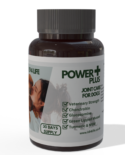 Power Plus Joint Care Supplement for Small Dogs - for Stiff Joints and Movement with Glucosamine, Chondroitin, MSM, Turmeric and Green Lipped Mussel.