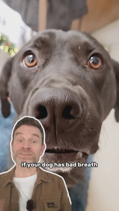 Dog Plaque & Tartar Remover Dental Care - Organic