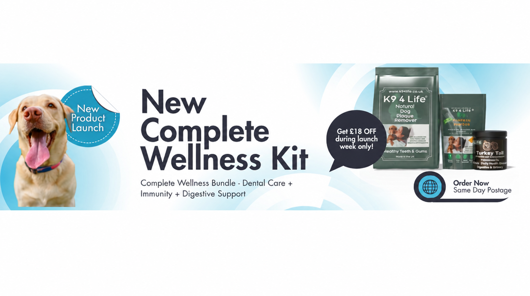 Complete Wellness Bundle - Dental Care + Immunity + Digestive Support