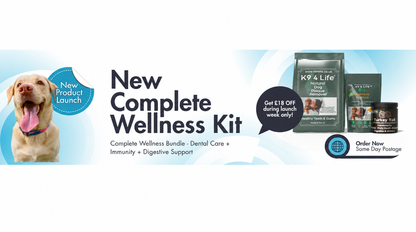 Complete Wellness Bundle - Dental Care + Immunity + Digestive Support